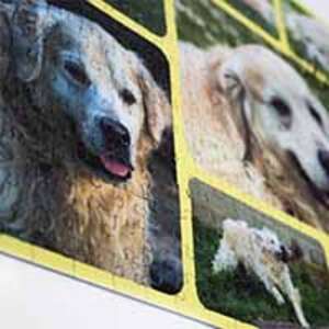 Puzzle de collage photo 500 - CAD 42.99