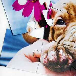 Puzzle Photo 12 pièces - CAD 27.89