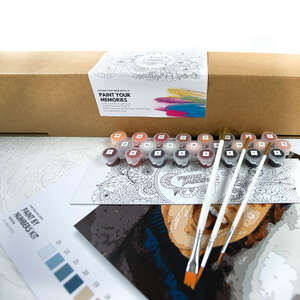 Paint By Number kit from photo