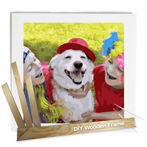 photo paint by numbers diy frame 