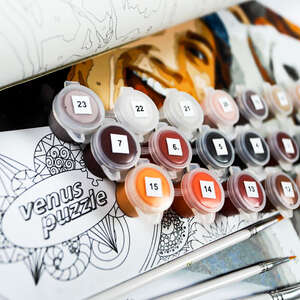 paint by numbers kit 