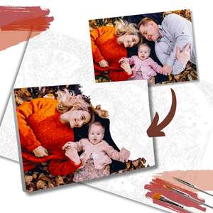 Paint by Numbers 20x14 FRAME - CAD 61.86